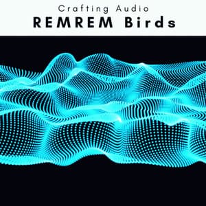 A REMREM Birds - Crafting Audio