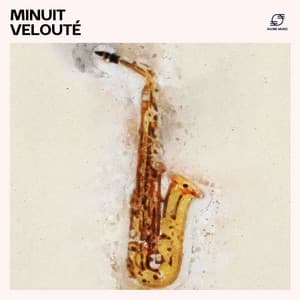 Minuit Velouté: Playlist Jazz Doux - Instrumental Jazz Musique d'Ambiance