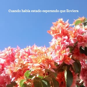 Cuando había estado esperando que lloviera - Jazz for Hotel Lobbies