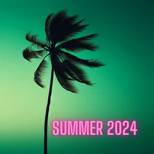 Summer 2024 - Summer 2024