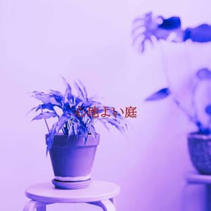 心地よい庭 - Jazzy Mornings