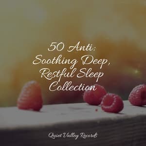 50 Anti: Soothing Deep, Restful Sleep Collection - Active Baby Music Workshop