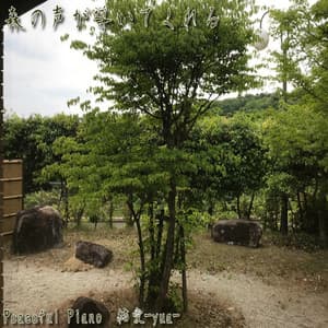 森の声が導いてくれる - Peaceful piano