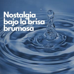 Nostalgia bajo la brisa brumosa - La biblioteca al aire libre