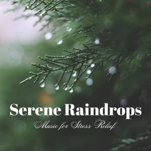 Serene Raindrops: Music for Stress Relief - Rain Drops for Sleep