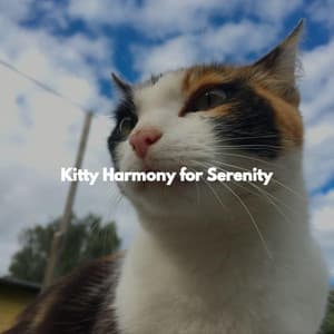 Kitty Harmony for Serenity - Perfect Weekend Jazz