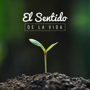 El Sentido de la Vida - Permanece en Equilibrio con tus Emociones a Través del Yoga y la Meditación - Academia de Música de Yoga Pilates