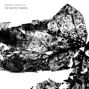 The Swiftest Traveler - Torben Snekkestad
