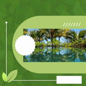 Feelings for Resting Easy - Restaurante Clásico Jazz