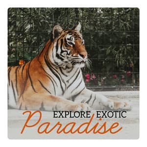 Explore Exotic Paradise - Exotic Nature Kingdom