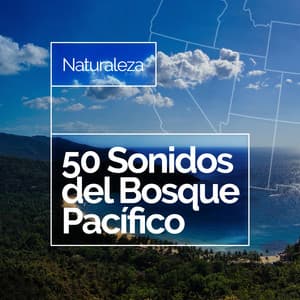 50 Sonidos del Bosque Pacífico - Naturaleza