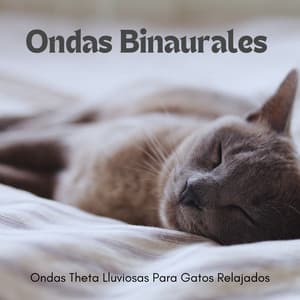 Ondas Binaurales: Ondas Theta Lluviosas Para Gatos Relajados - Ritmos Binaurales MT