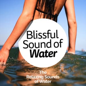 Blissful Sound of Water - The Relaxing Sounds of Water