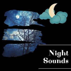 Night Sounds - Night Sounds Channel