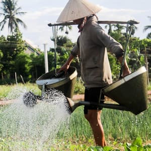 Water Work Retreat: A Bird Song Serenade and Chill Soundscape - Animal and Bird Songs