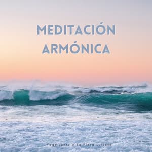 Meditación Armónica: Yoga Junto A La Playa Luvioso - Llovió