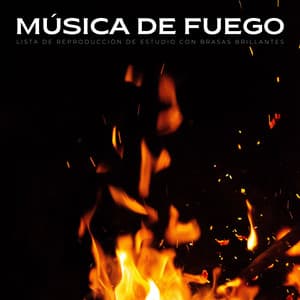 Música De Fuego: Lista De Reproducción De Estudio Con Brasas Brillantes - Maestro de muestras de chimenea