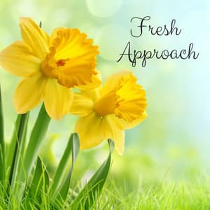 Fresh Approach - Rain Sound Plus