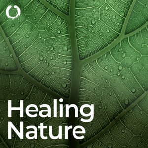Healing Nature Solfeggio Frequencies - Healing Power Natural Sounds Oasis