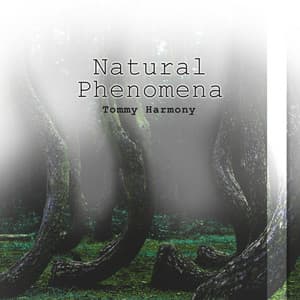 Natural Phenomena - Tommy Harmony