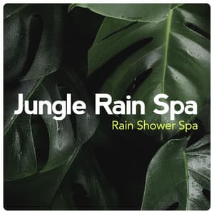 Jungle Rain Spa - Rain Shower Spa