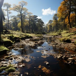 Aguas Tranquilas Que Fluyen: Alegres Voces Del Arroyo - Perspectiva de la naturaleza