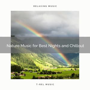 Nature Music for Best Nights and Chillout - Deep Sleep Nature Sounds