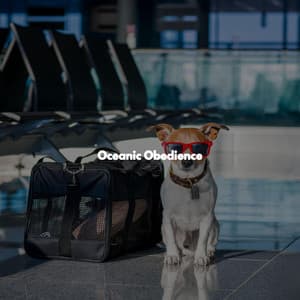 Oceanic Obedience - Focus at Work Jazz Playlist