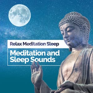 Meditation and Sleep Sounds - Relax Meditation Sleep