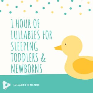 1 Hour of Lullabies for Sleeping Toddlers & Newborns - Lullabies In Nature