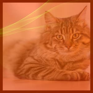 Music for Comfortable with Cats - Soprano Sax Solo - Cat Music Waves