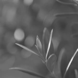 Music for Unique Thoughts - Work at Home Music