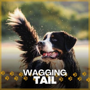 Wagging Tail - Calming for Dogs