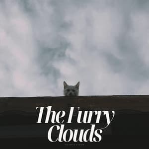 The Furry Clouds - Pet Music