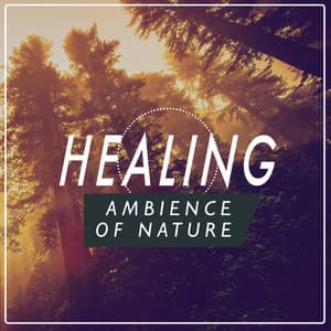 Healing Ambience of Nature - Healing Sounds for Deep Sleep and Relaxation