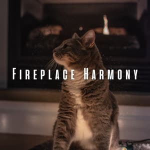 Fireplace Harmony: Ambient Sounds for Your Cat's Zen Space - Sunrise Flames Fire Sounds