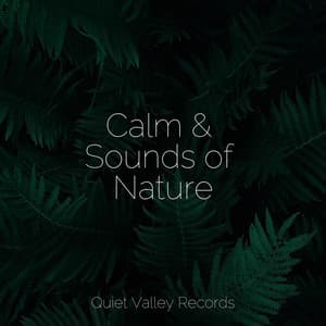 Calm & Sounds of Nature - White Noise Relaxation