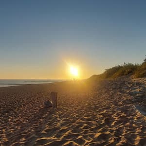 Cozy Jazz Shop - Cozy Coffee Shop