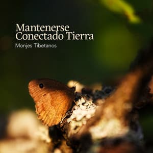 Mantenerse Conectado Tierra - Monjes Tibetanos