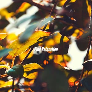 Find Relaxation - Easy Listening Jazz