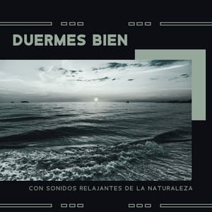 Duermes Bien con Sonidos Relajantes de la Naturaleza - Academia de Sonidos de la Naturaleza para Dormir