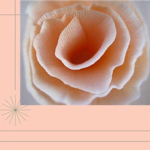 Relaxed Quartet Jazz - Ambiance for Vibrant Secrets - Coffeeshop Smooth Jazz Playlist Classics