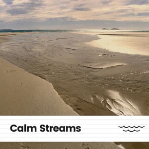 Calm Streams - Soul Healer
