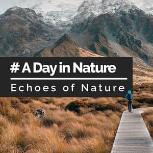 # A Day in Nature - Echoes Of Nature