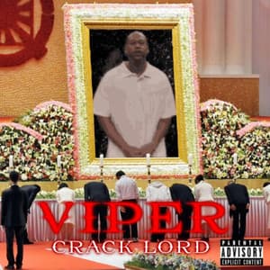 CRACK LORD - Viper