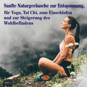 Sanfte Naturgeräusche zur Entspannung, für Yoga, Tai Chi, zum Einschlafen und zur Steigerung des Wohlbefindens - Media Sound Art