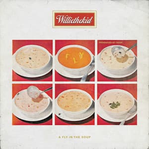 A Fly In The Soup - Willie The Kid