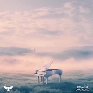 Dreamland's Melodies - Baby Owl Music