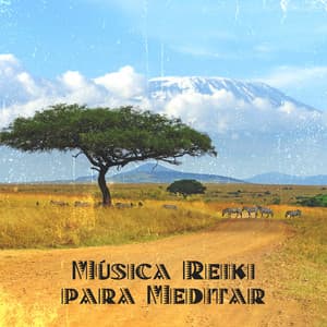 Música Reiki para Meditar de Africa - Reiki Consorte de Curación