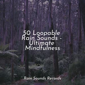 50 Loopable Rain Sounds - Ultimate Mindfulness - Sonidos de la Naturaleza Relajacion